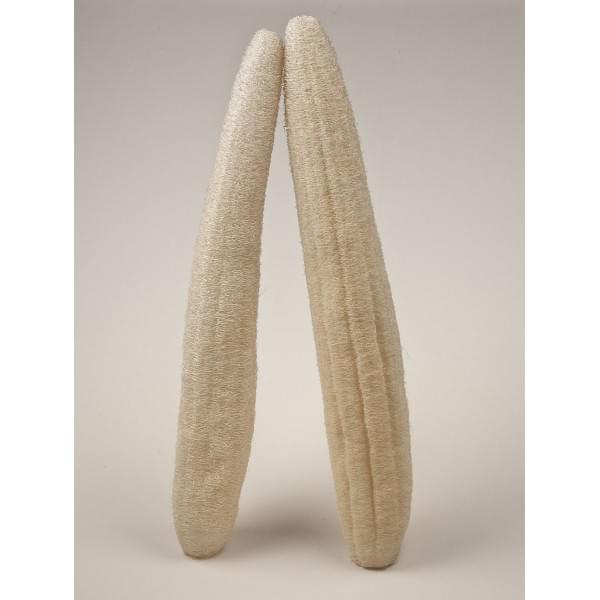Kalyspongea Natural Luffa