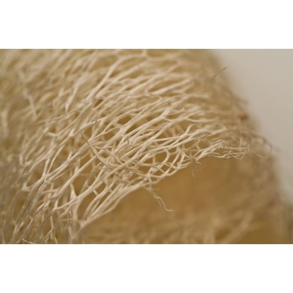 Kalyspongea Natural Luffa With Rope