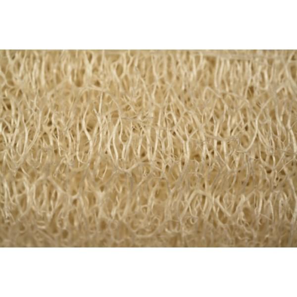Kalyspongea Natural Luffa With Rope