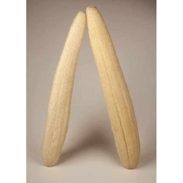 Kalyspongea Natural Luffa